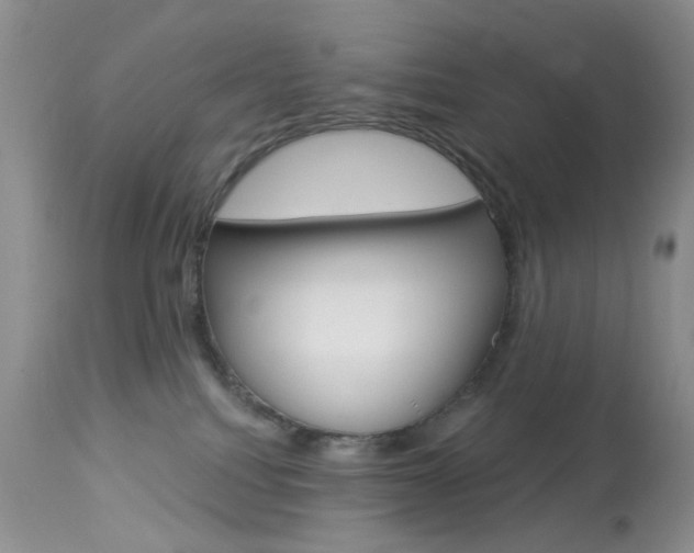 X0000114030088200910021051