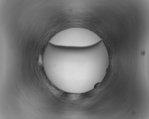 X0000114030089200910021051
