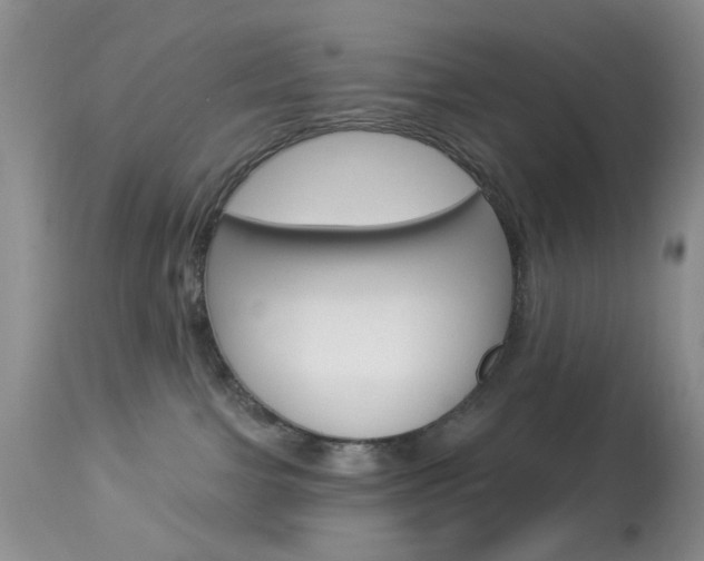 X0000114030091200910021052