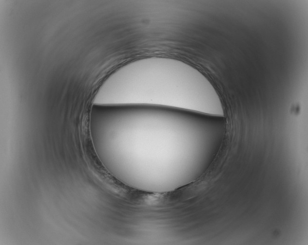 X0000114030092200910021052