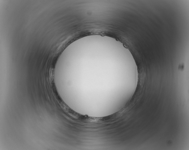 X0000114030093200910021052