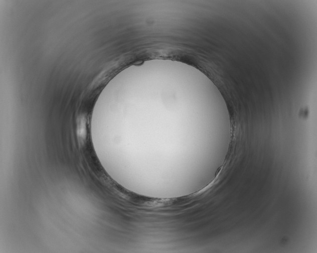 X0000114030094200910021052