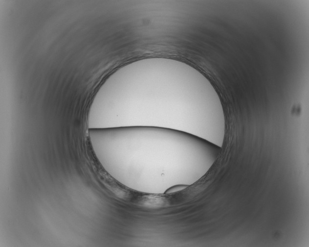 X0000114030095200910021052