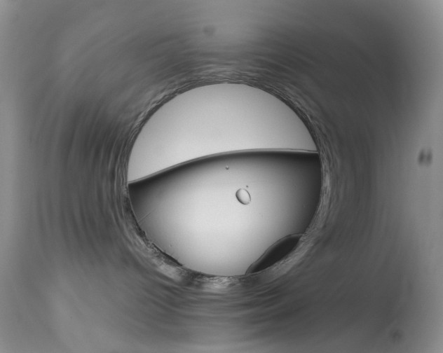 X0000114030096200910021052