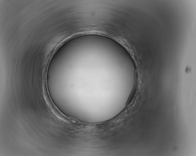 X0000114030097200910021051