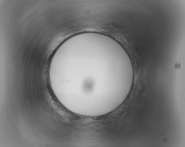 X0000114030098200910021051