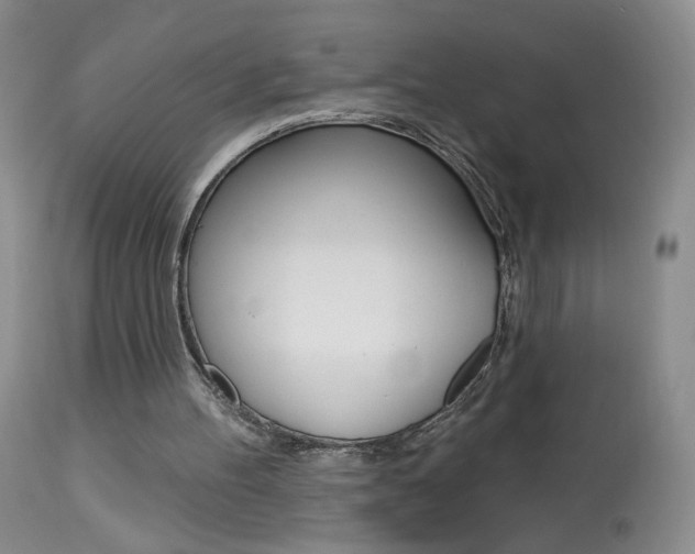 X0000114030100200910021051