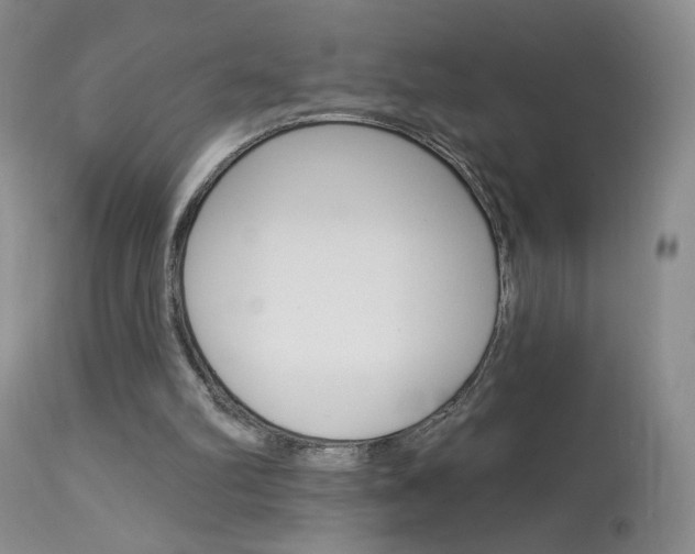 X0000114030102200910021051