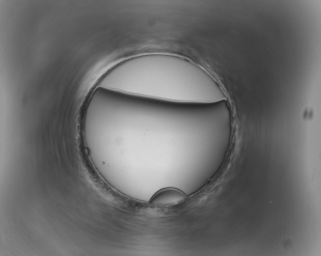 X0000114030103200910021051