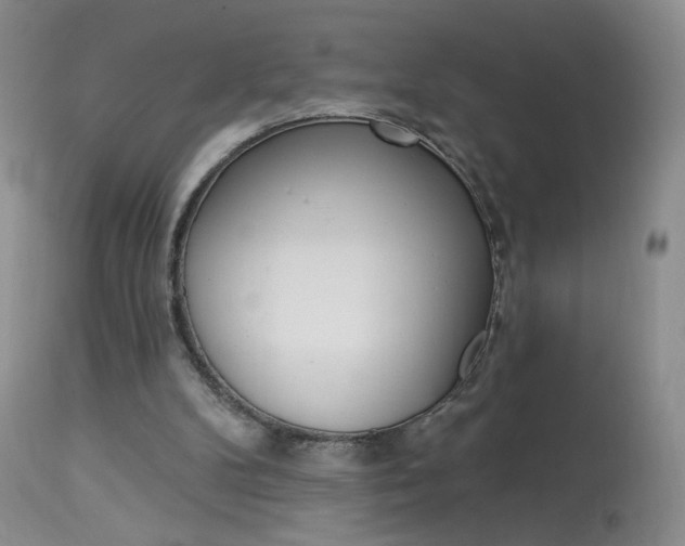 X0000114030104200910021051