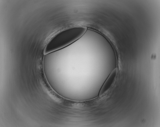X0000114030105200910021051