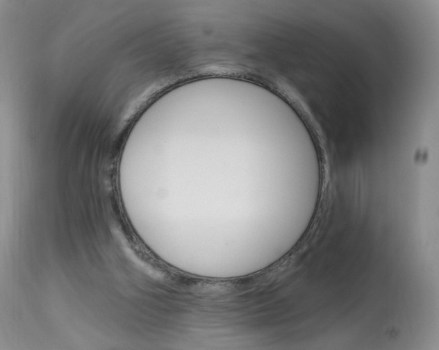 X0000114030106200910021051