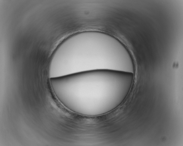 X0000114030107200910021051