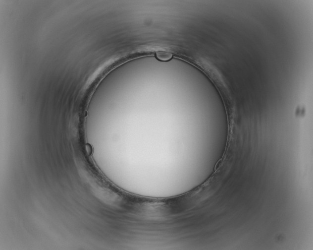 X0000114030108200910021051