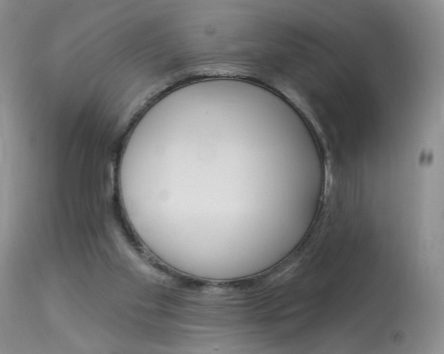 X0000114030109200910021051
