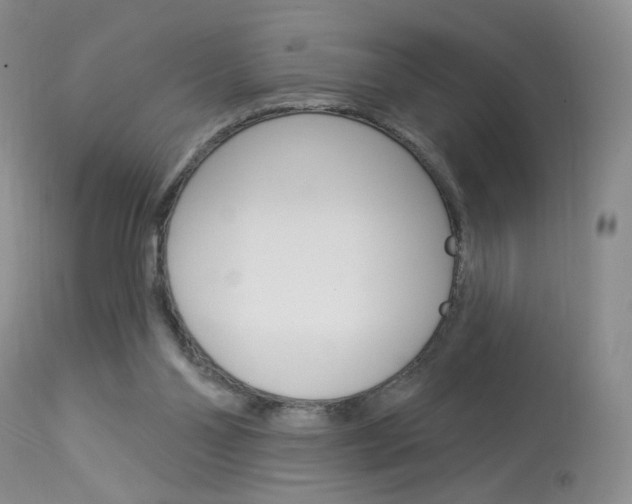 X0000114030110200910021051