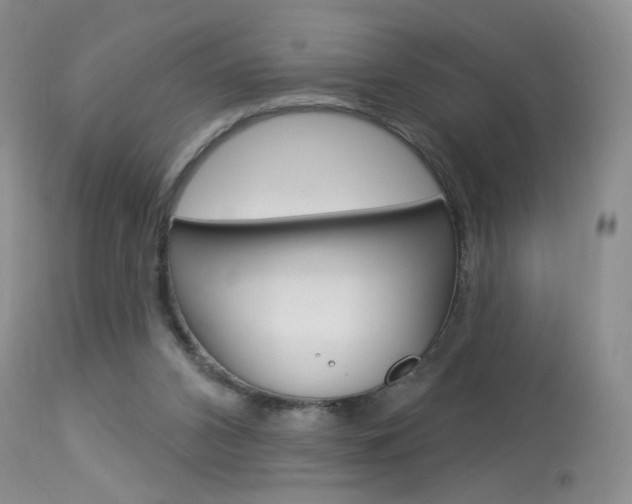 X0000114030112200910021051