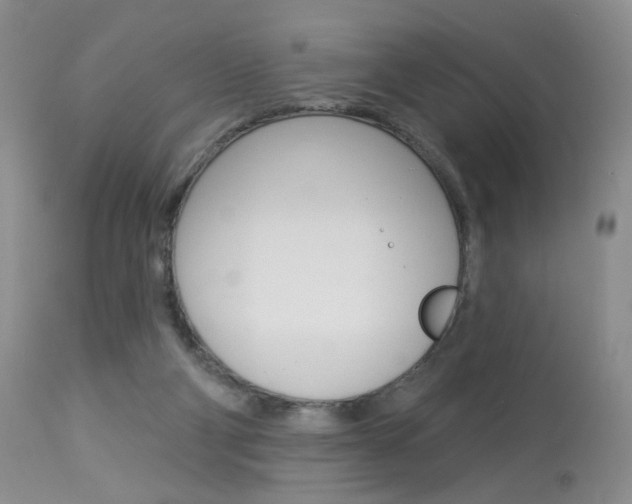 X0000114030114200910021051