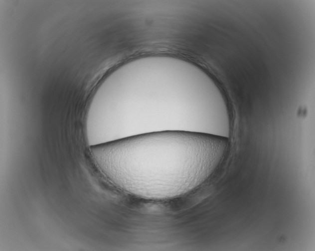 X0000114030115200910021051