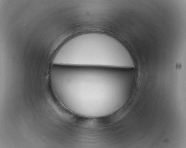 X0000114030116200910021050