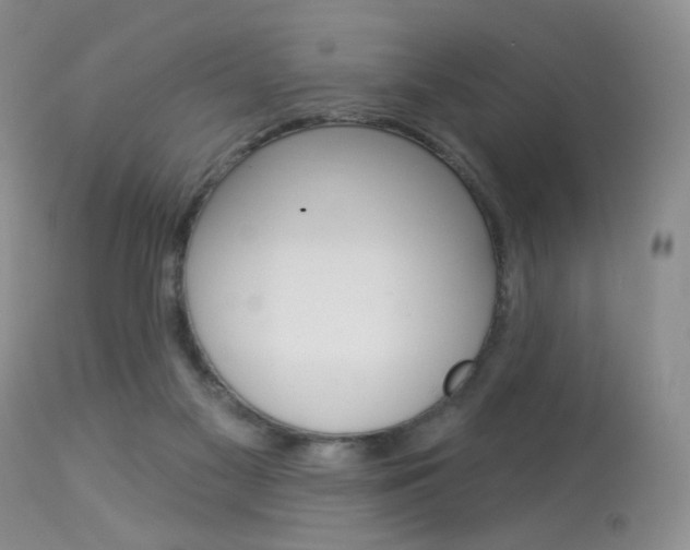 X0000114030117200910021050