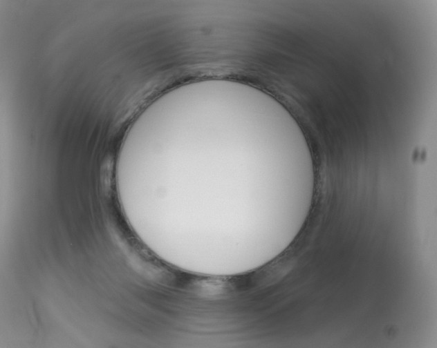 X0000114030118200910021050