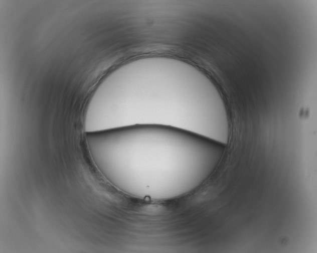 X0000114030119200910021050