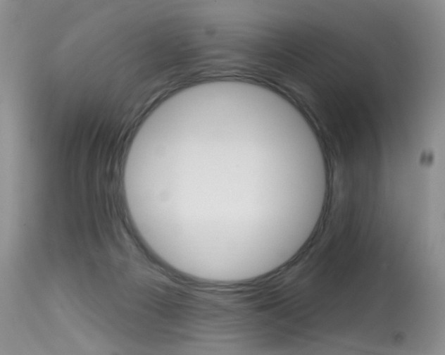 X0000114030121200910021050