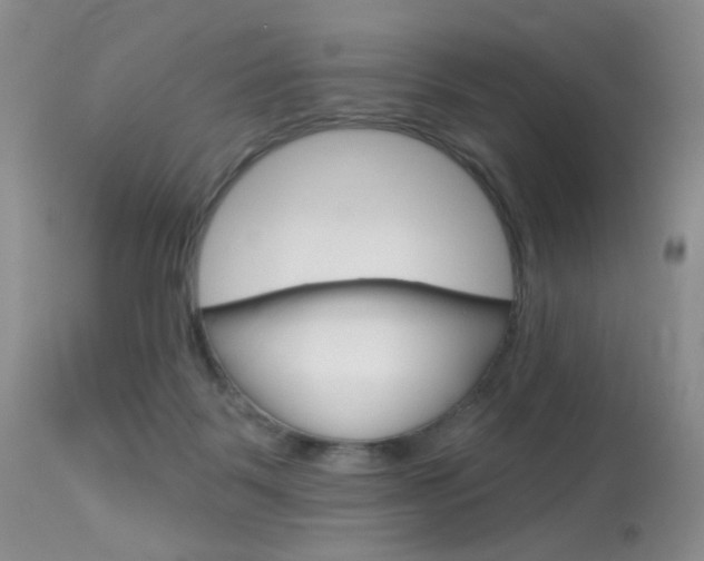 X0000114030123200910021050