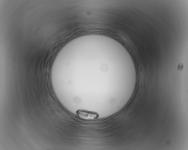 X0000114030125200910021050