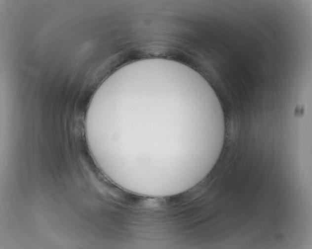 X0000114030126200910021050