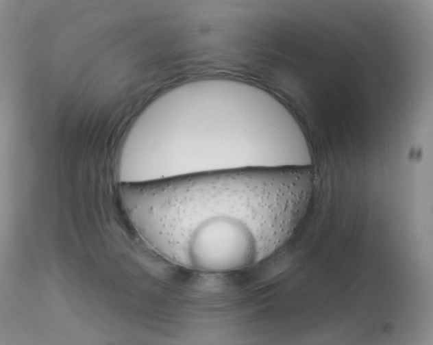 X0000114030127200910021050