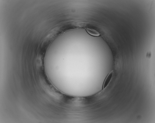 X0000114030128200910021050