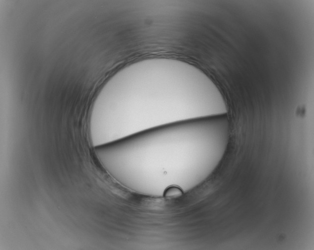 X0000114030131200910021050