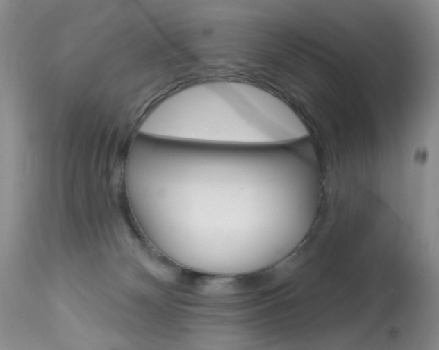 X0000114030132200910021050