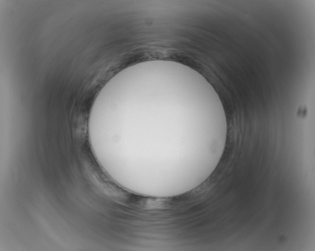 X0000114030134200910021050