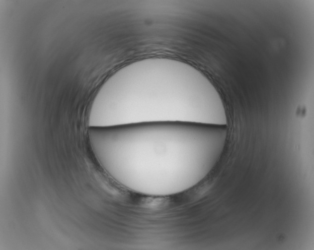 X0000114030135200910021050