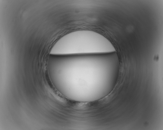 X0000114030136200910021050
