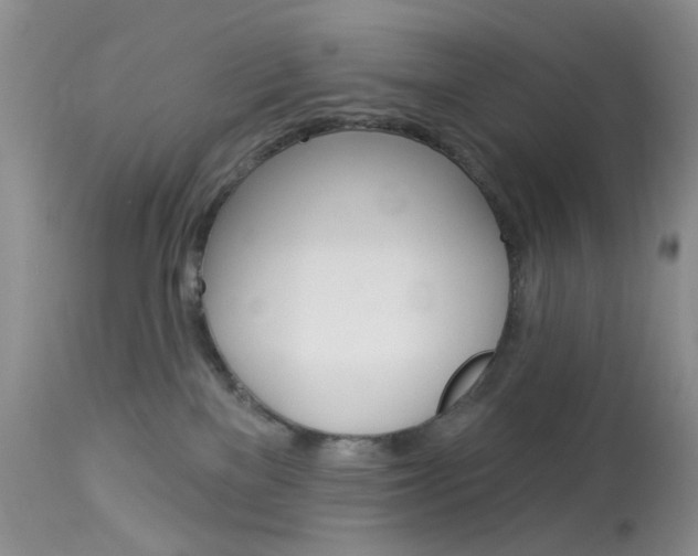 X0000114030137200910021050