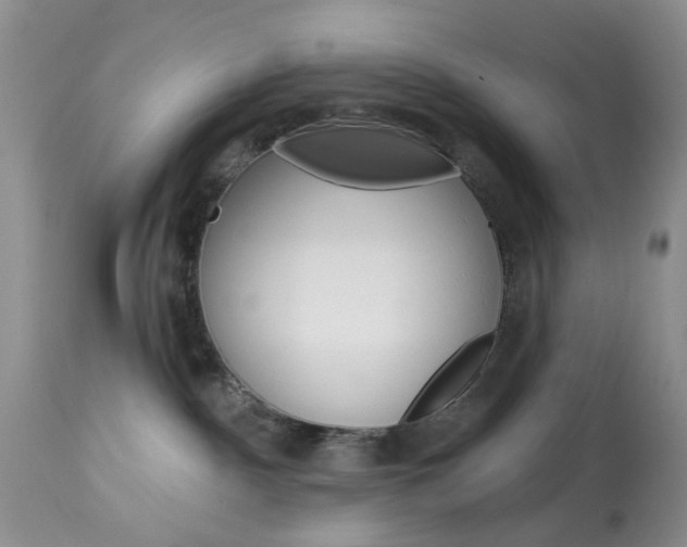 X0000114030140200910021050