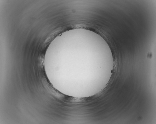 X0000114030142200910021050
