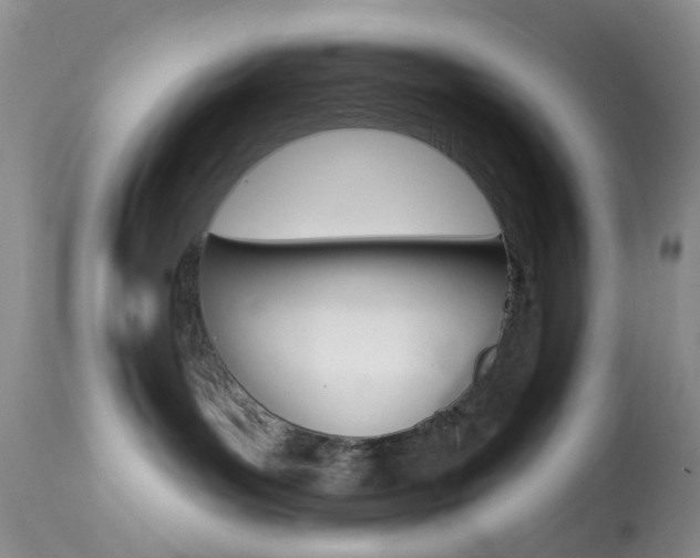 X0000114030143200910021050