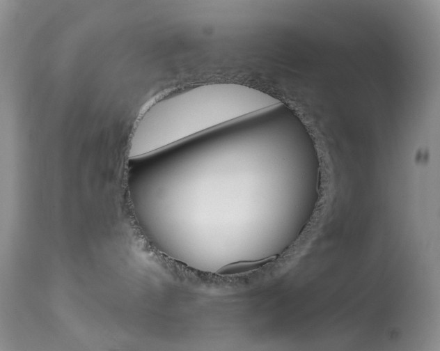 X0000114030144200910021050