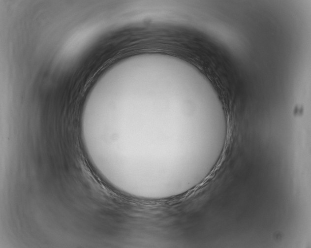 X0000114030146200910021049