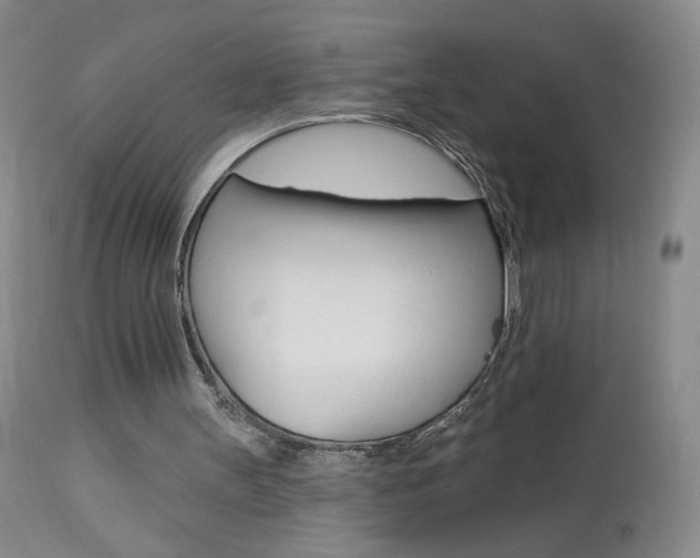 X0000114030147200910021049
