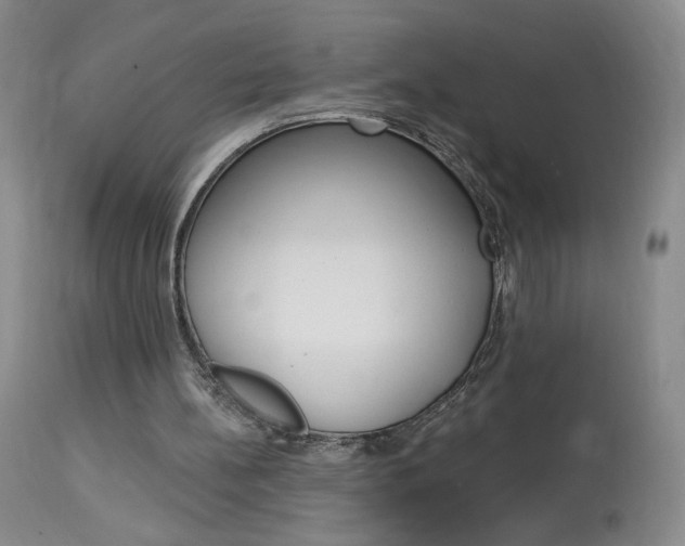 X0000114030148200910021049