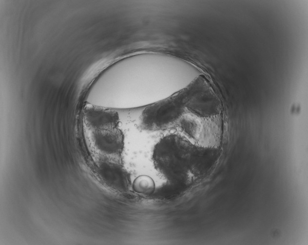 X0000114030149200910021049