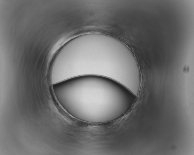 X0000114030150200910021049