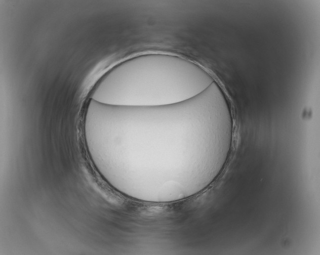 X0000114030151200910021049