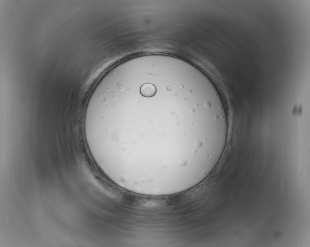 X0000114030155200910021049